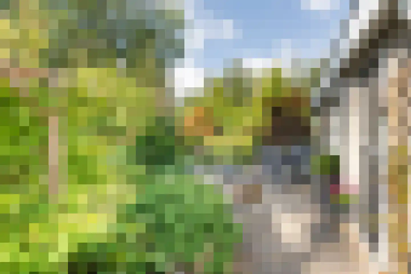 Oude Hammerweg 12 a 093 Vilsteren thumbnail 26