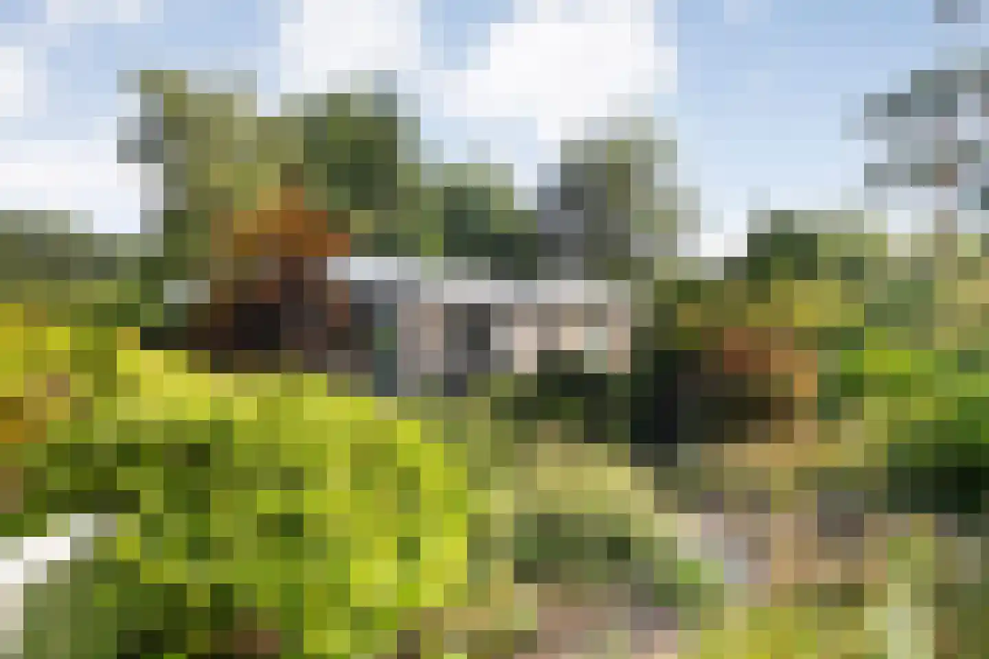 Oude Hammerweg 12 a 093 Vilsteren thumbnail 27
