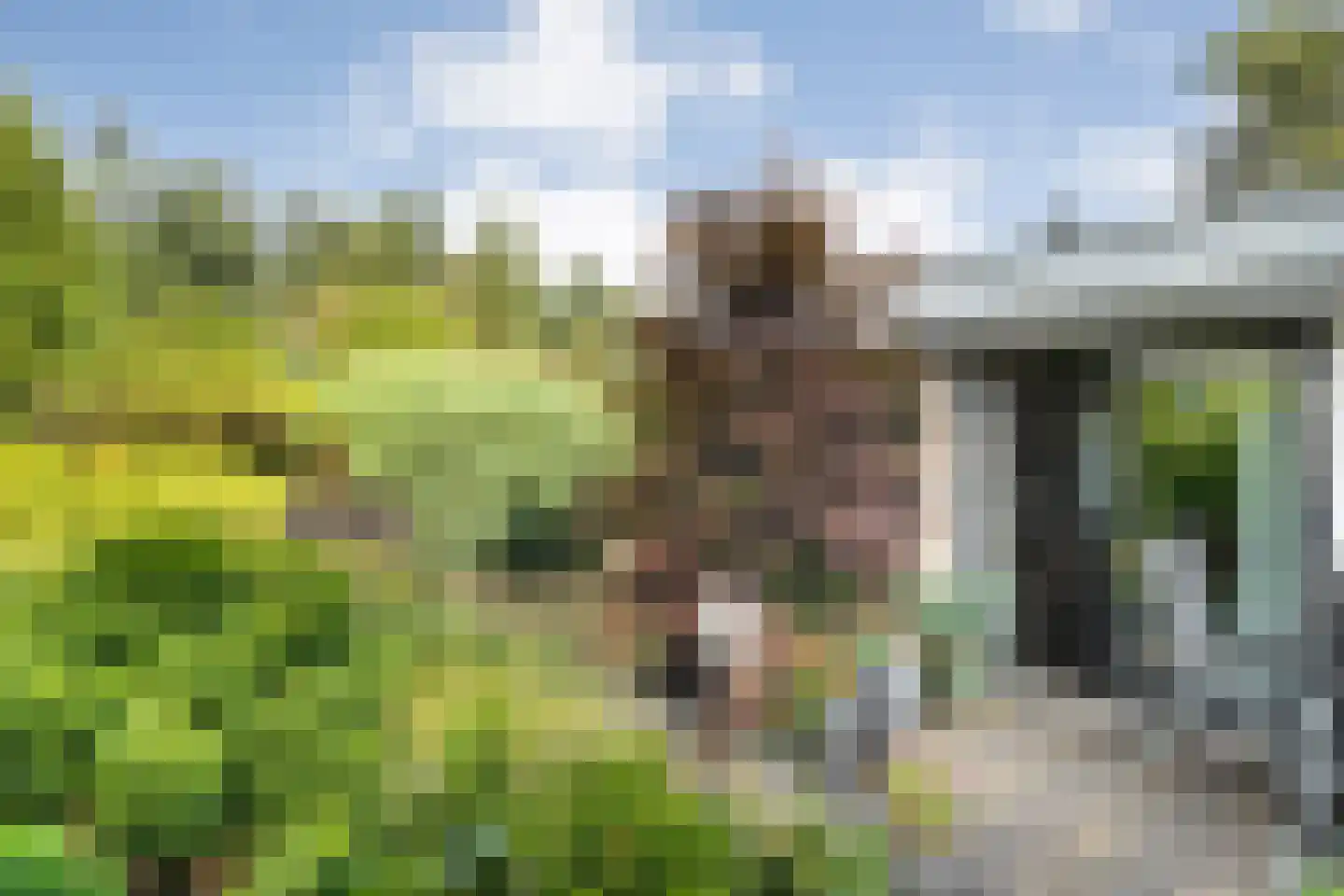 Oude Hammerweg 12 a 093 Vilsteren thumbnail 28