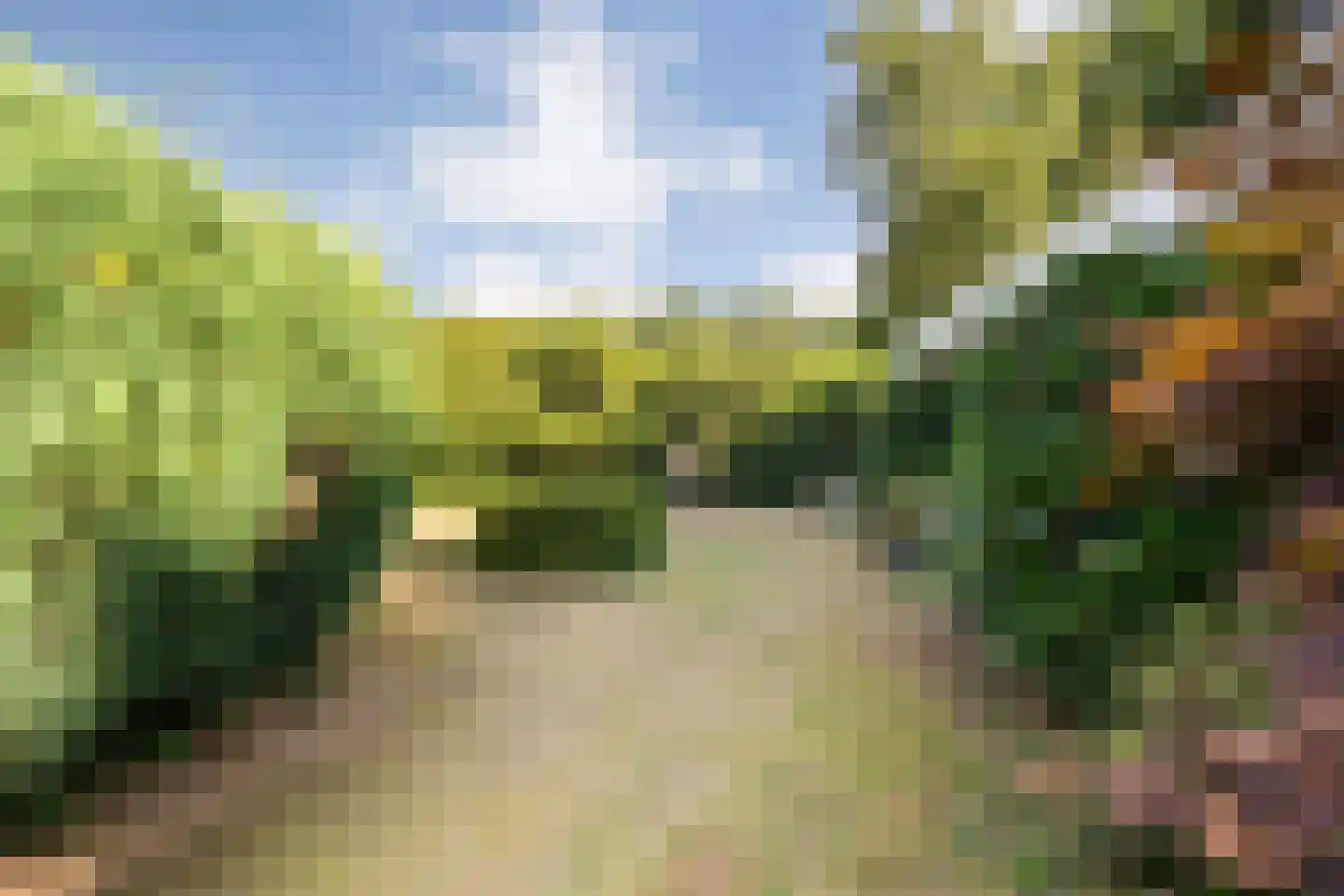 Oude Hammerweg 12 a 093 Vilsteren thumbnail 30