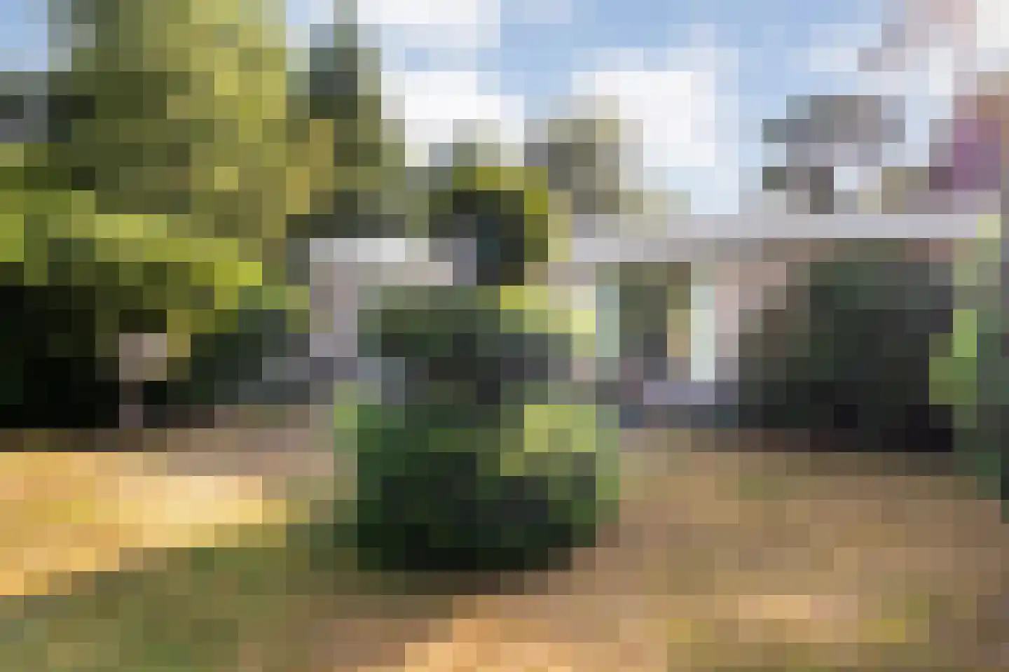 Oude Hammerweg 12 a 093 Vilsteren thumbnail 33