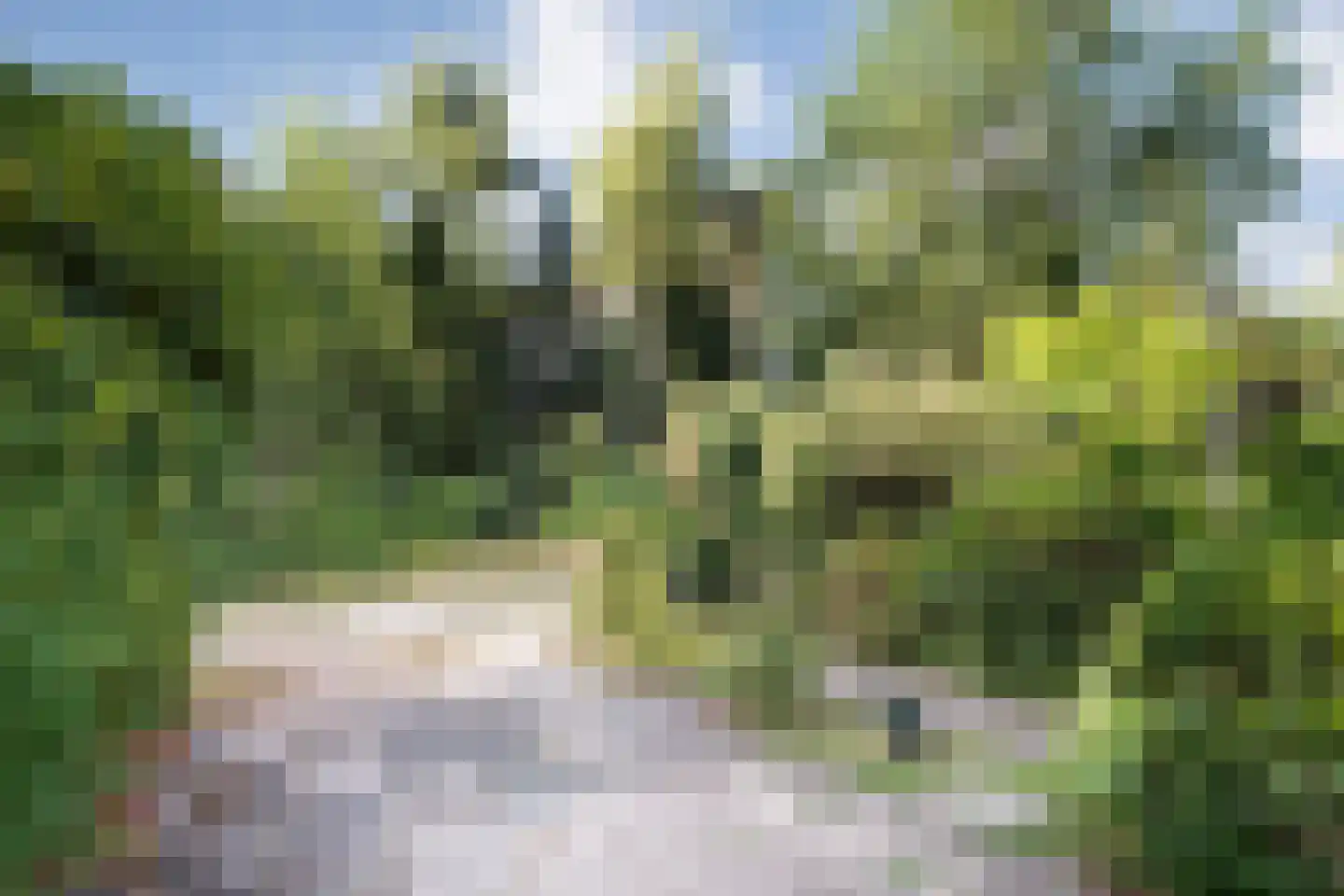 Oude Hammerweg 12 a 093 Vilsteren thumbnail 7