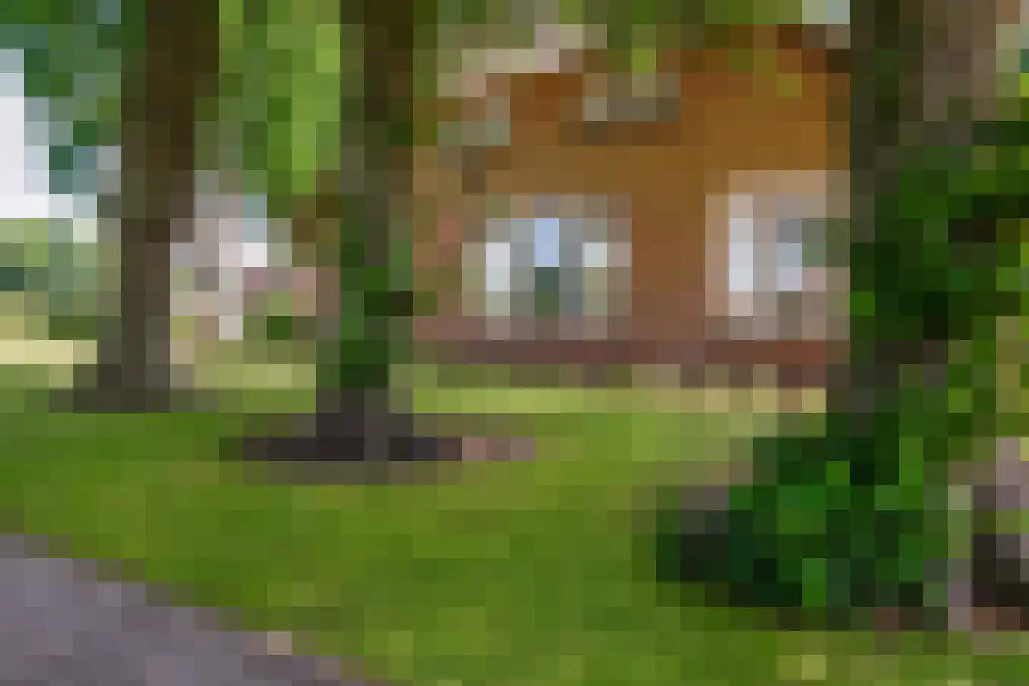Oude Harderwijkerweg 30 Doornspijk thumbnail 10