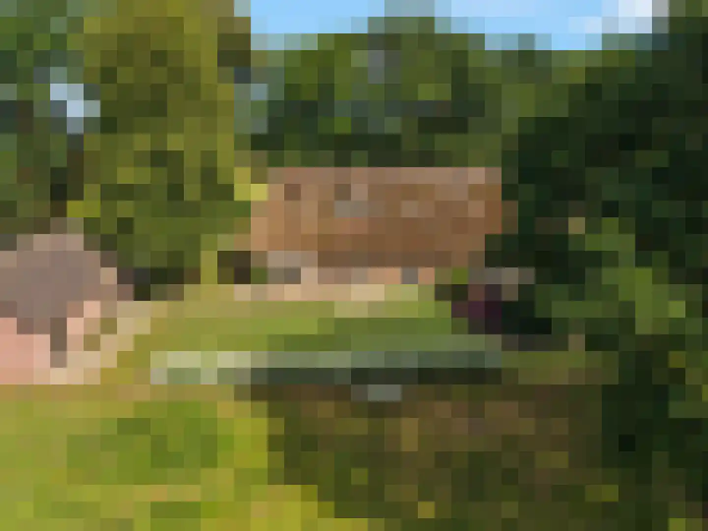 Oude Harderwijkerweg 30 Doornspijk thumbnail 12