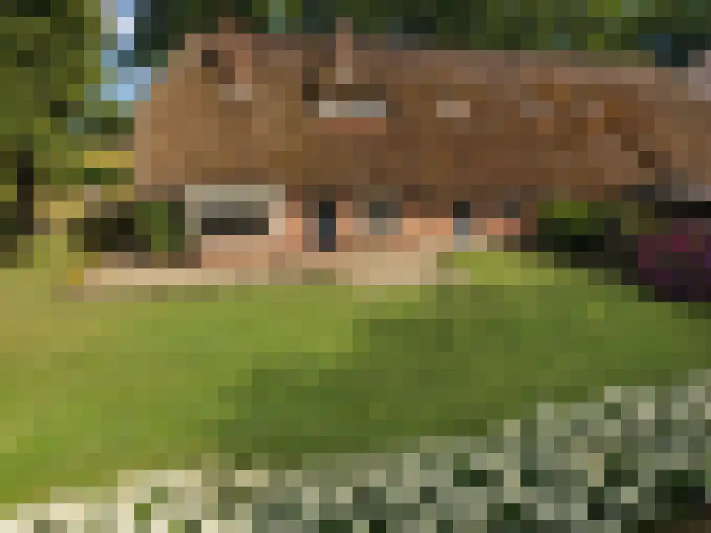 Oude Harderwijkerweg 30 Doornspijk thumbnail 13