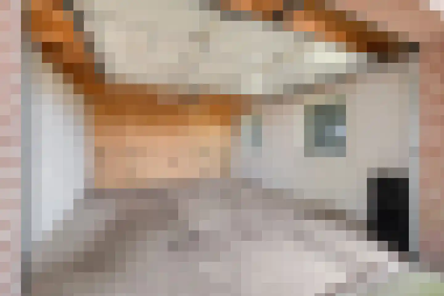 Oude Harderwijkerweg 30 Doornspijk thumbnail 19