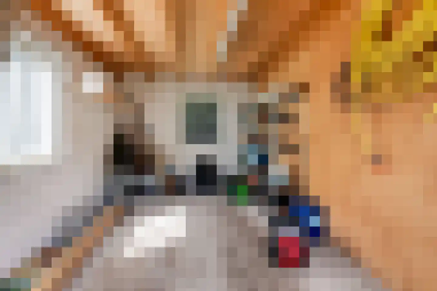 Oude Harderwijkerweg 30 Doornspijk thumbnail 20