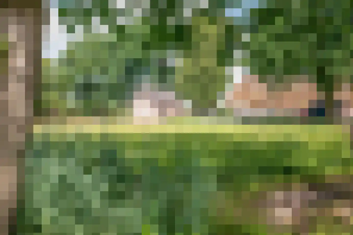 Oude Harderwijkerweg 30 Doornspijk thumbnail 22
