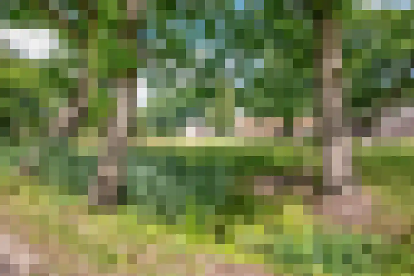 Oude Harderwijkerweg 30 Doornspijk thumbnail 23
