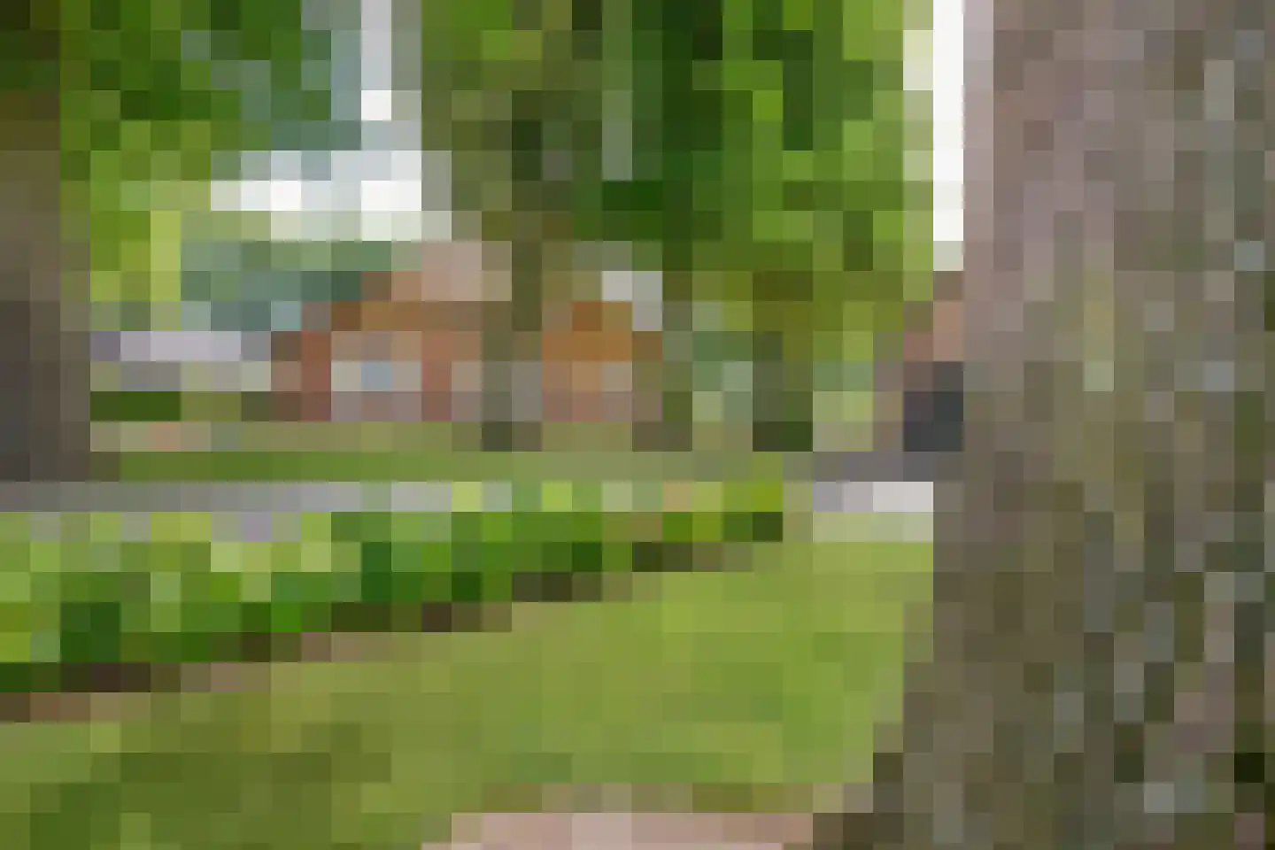 Oude Harderwijkerweg 30 Doornspijk thumbnail 27