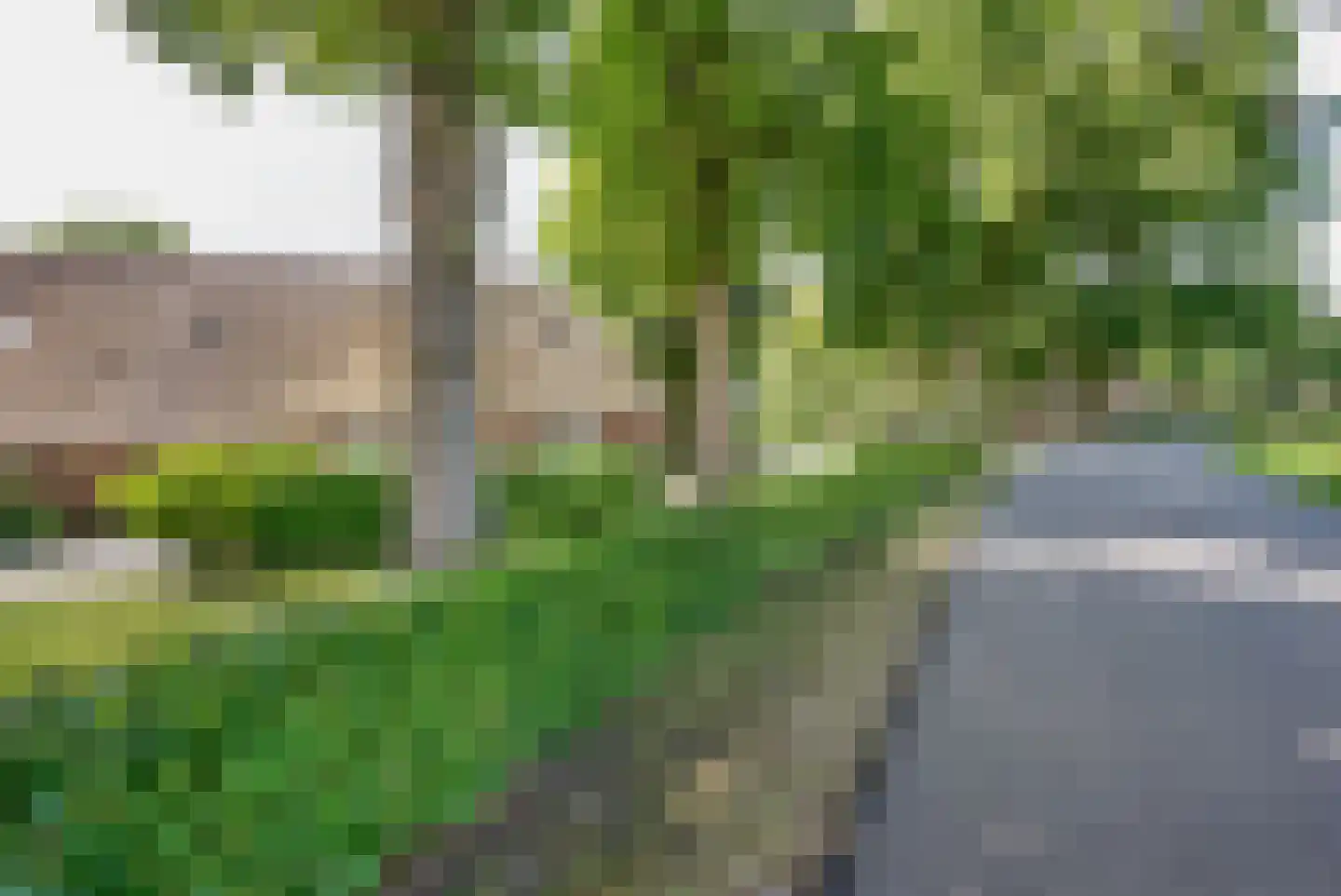 Oude Harderwijkerweg 30 Doornspijk thumbnail 28