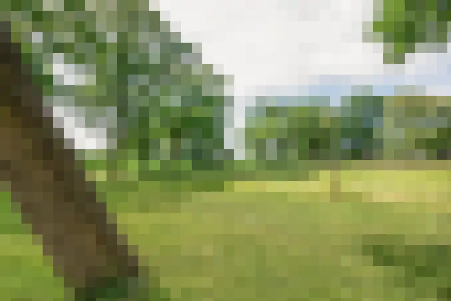 Oude Harderwijkerweg 30 Doornspijk thumbnail 30