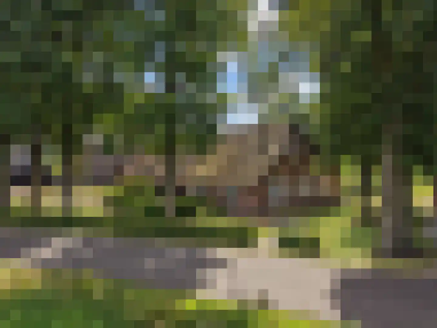 Oude Harderwijkerweg 30 Doornspijk thumbnail 32