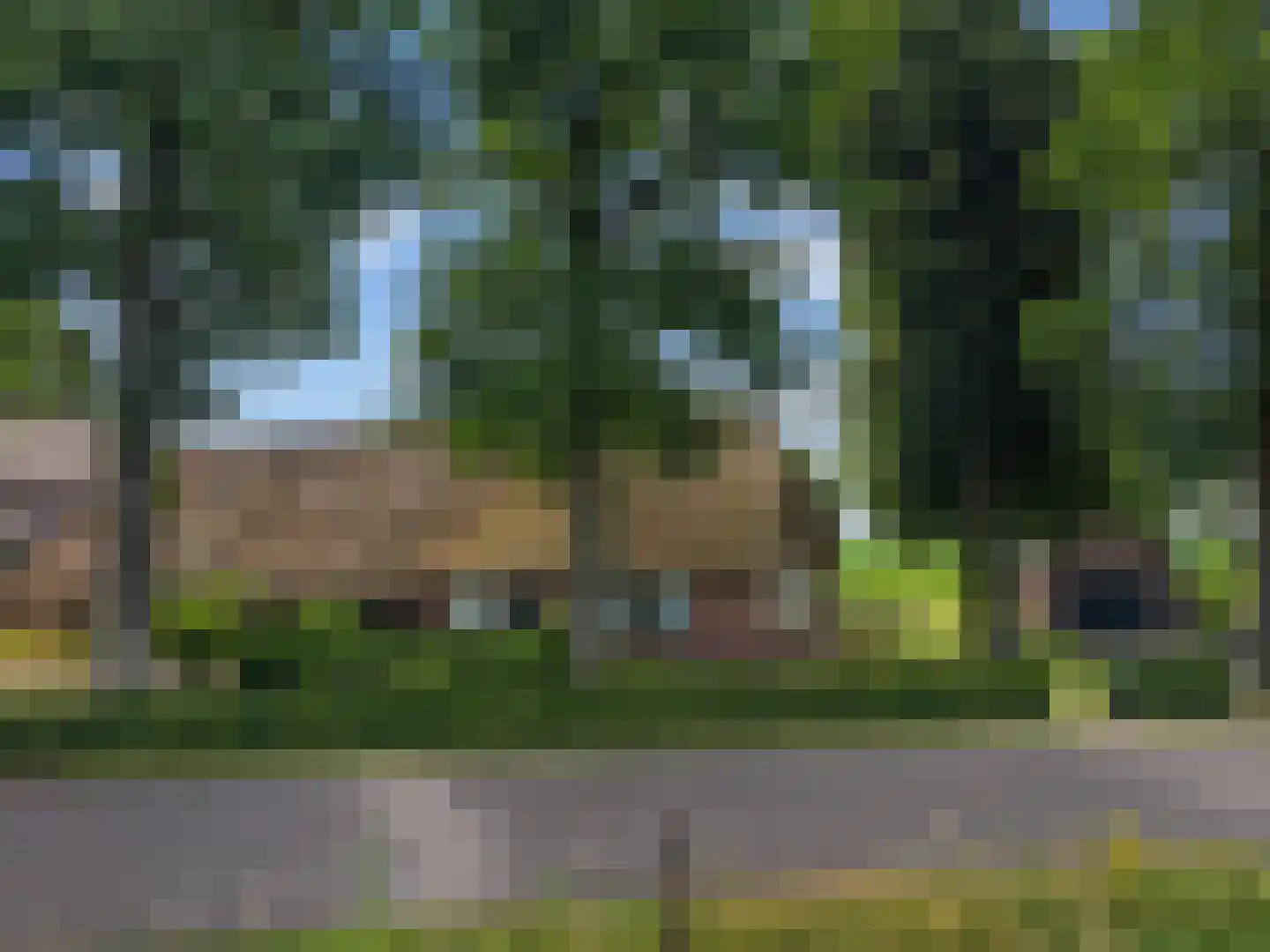 Oude Harderwijkerweg 30 Doornspijk thumbnail 33