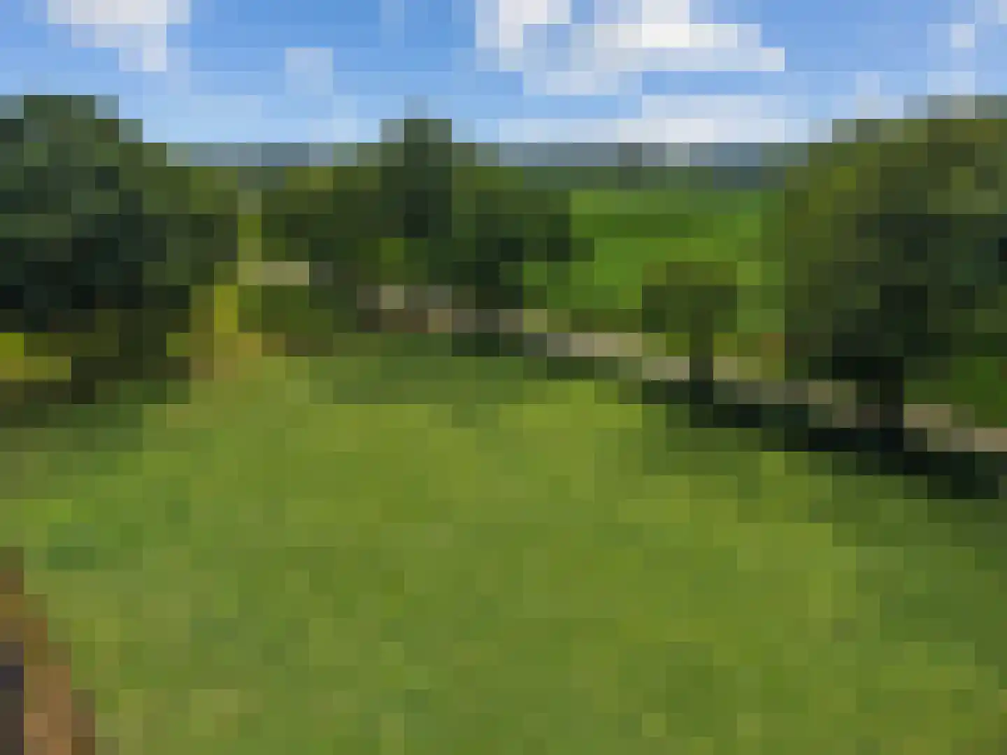 Oude Harderwijkerweg 30 Doornspijk thumbnail 34
