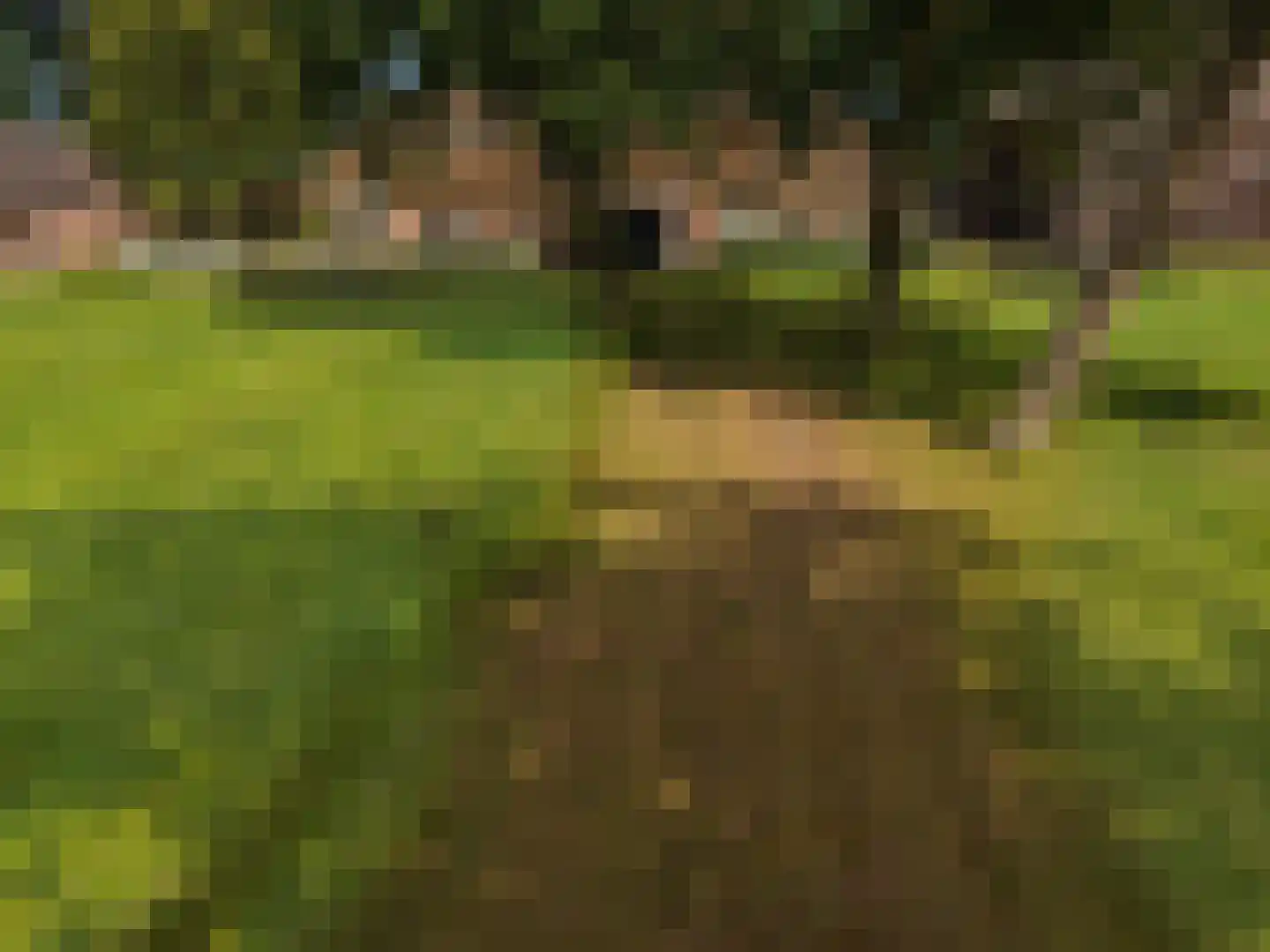 Oude Harderwijkerweg 30 Doornspijk thumbnail 35