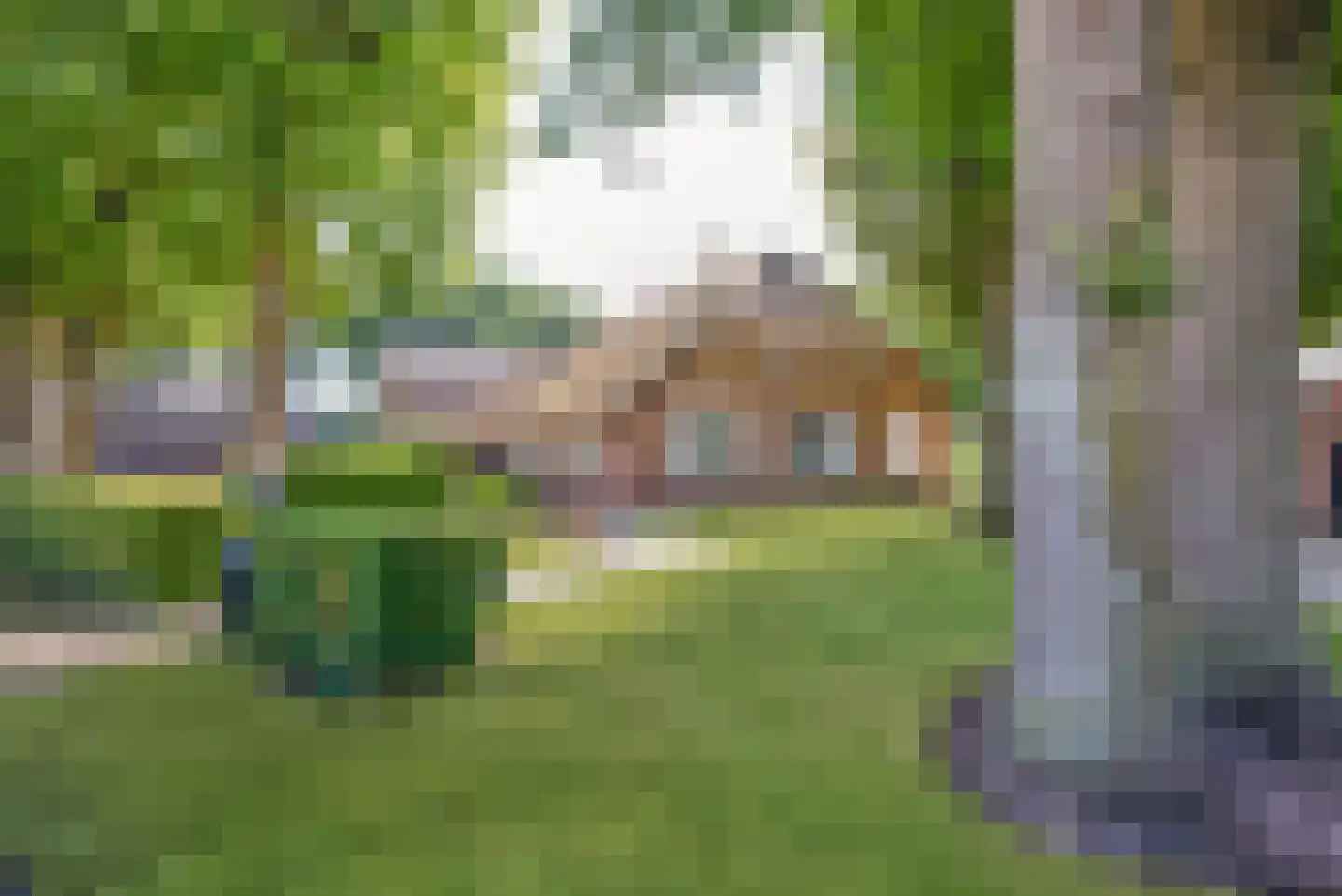 Oude Harderwijkerweg 30 Doornspijk thumbnail 4