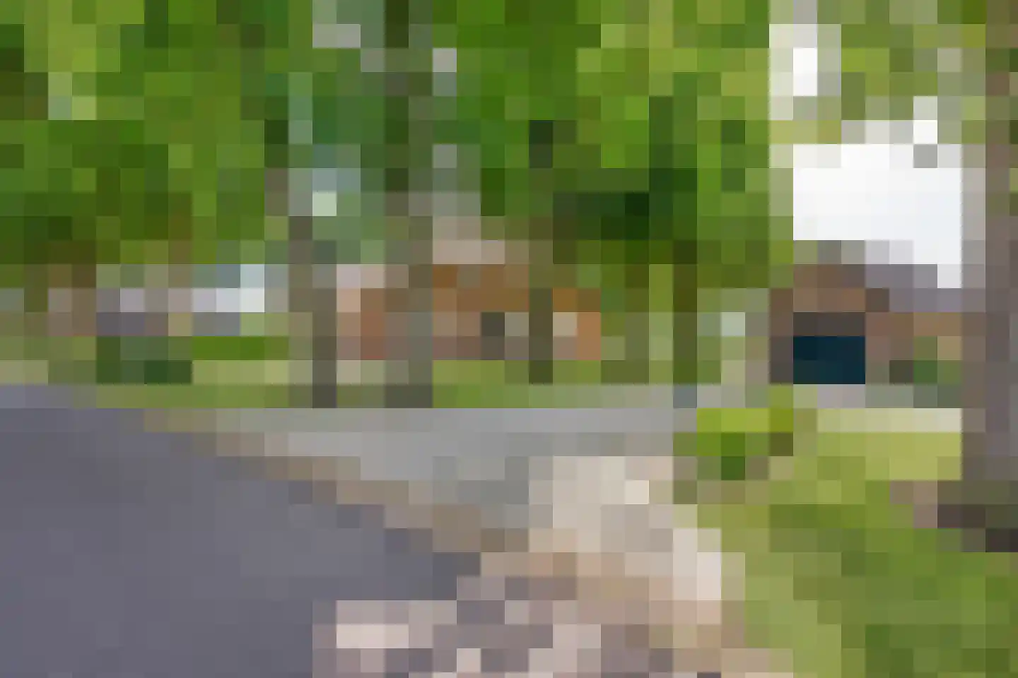 Oude Harderwijkerweg 30 Doornspijk thumbnail 5