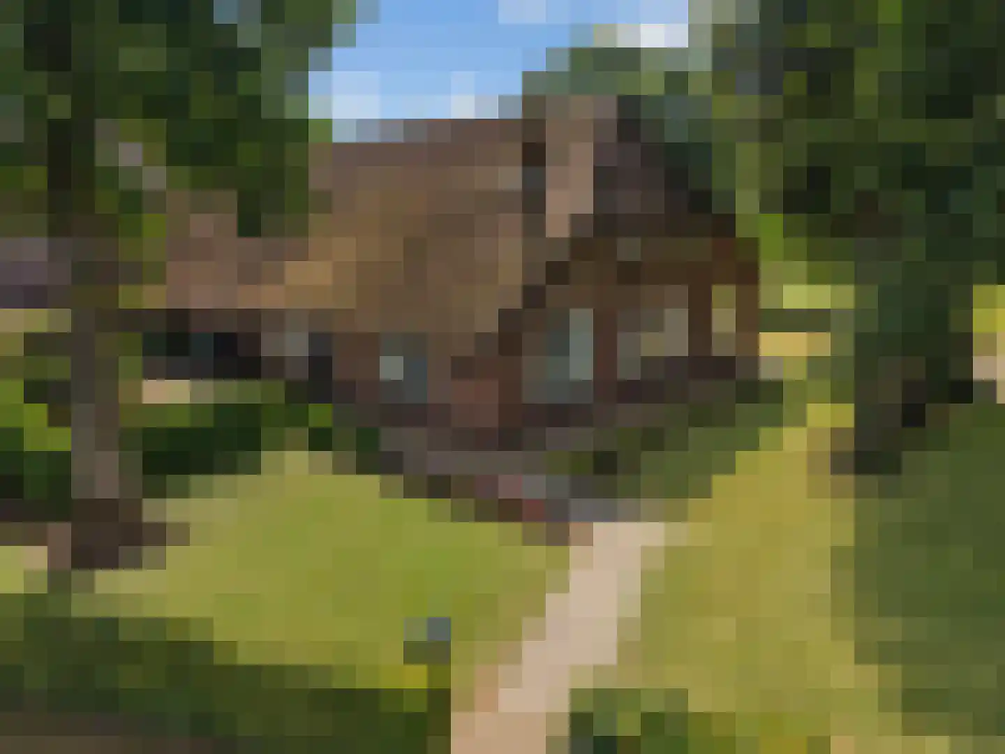 Oude Harderwijkerweg 30 Doornspijk thumbnail 6