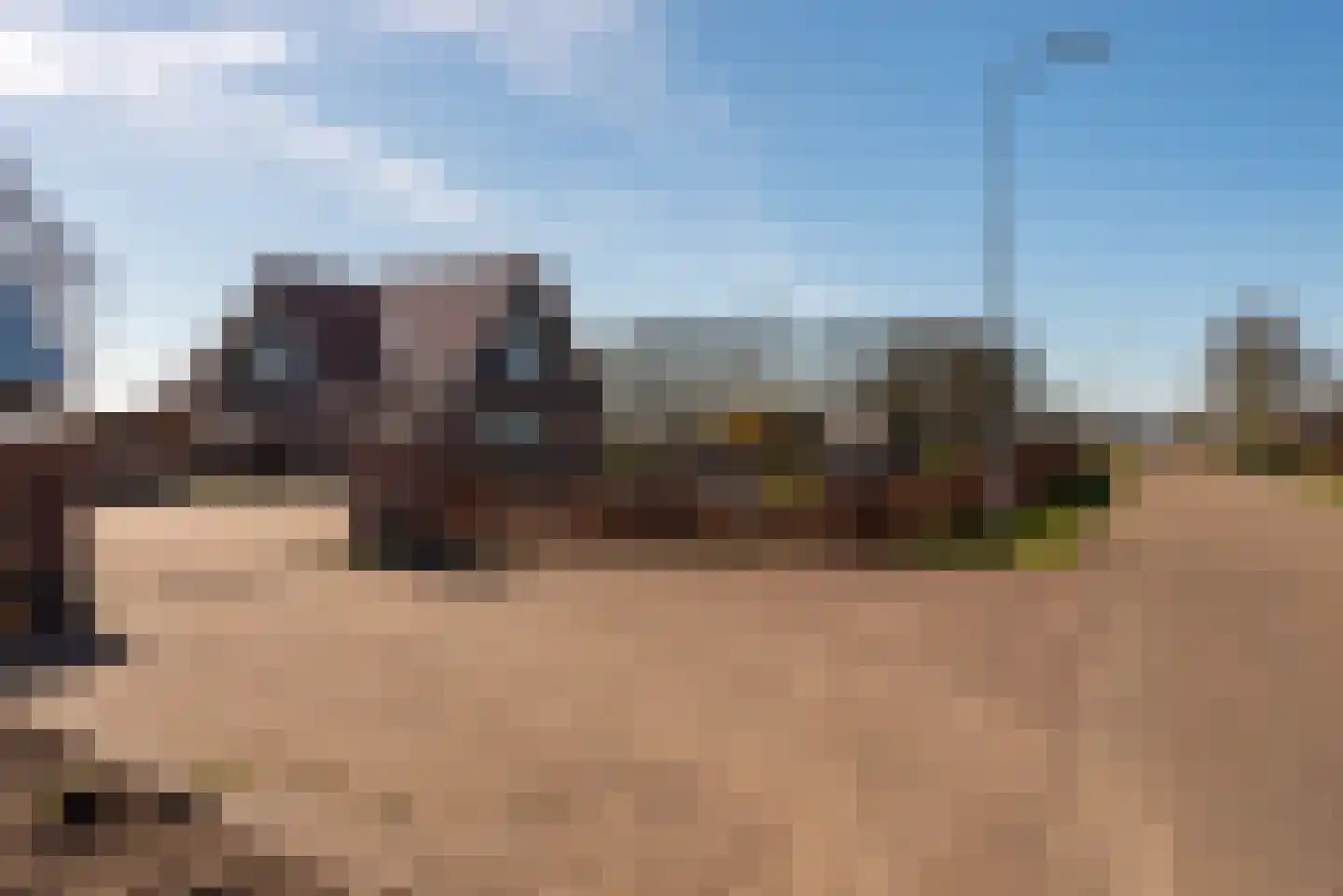 Oude Harderwijkerweg 34 Doornspijk thumbnail 4