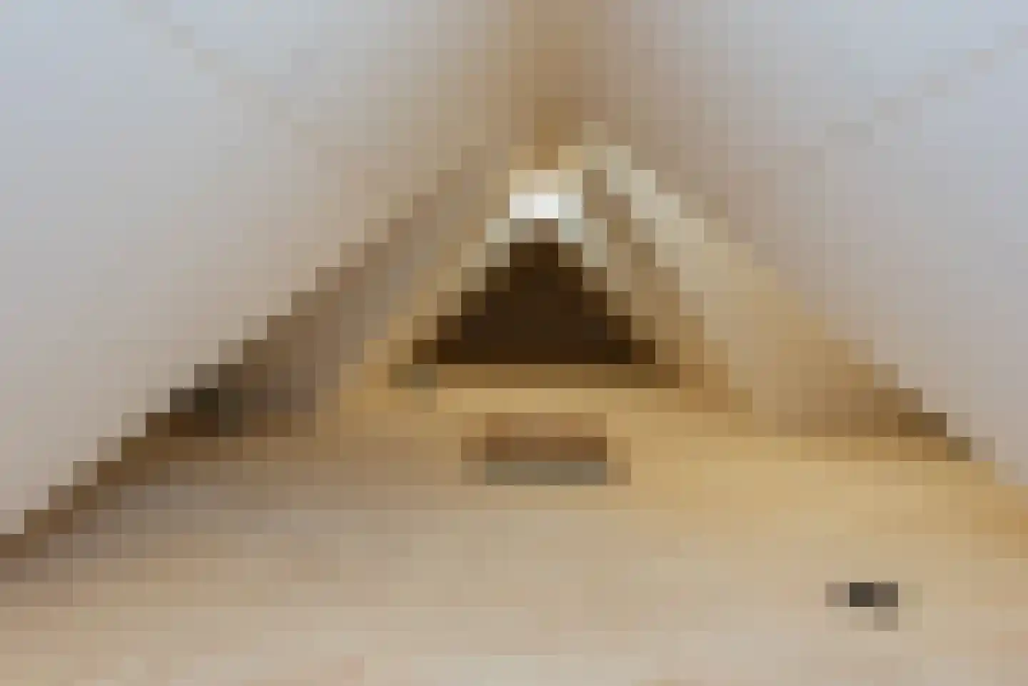 Oude Harderwijkerweg 34 Doornspijk thumbnail 44