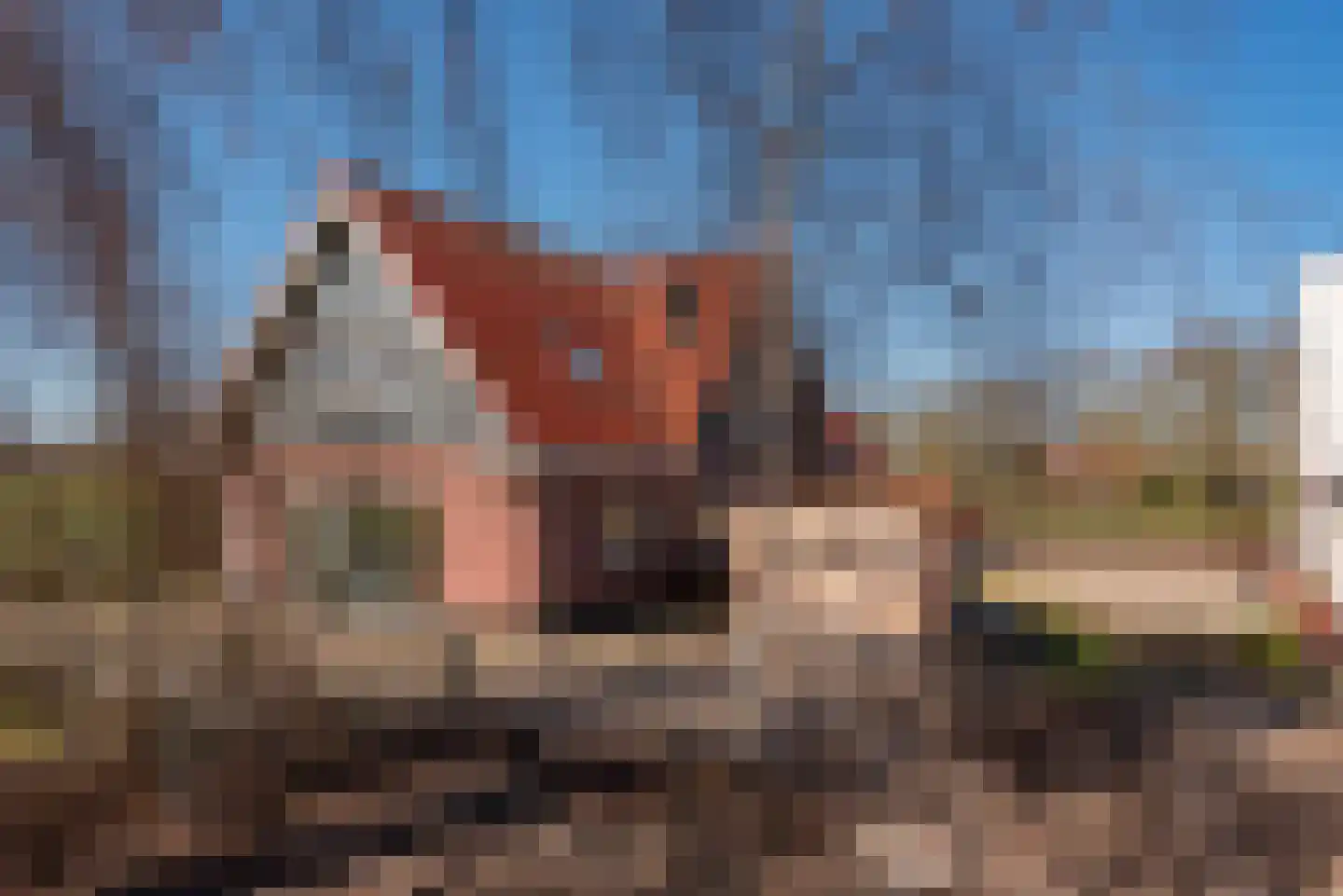 Oude Harderwijkerweg 34 Doornspijk thumbnail 53