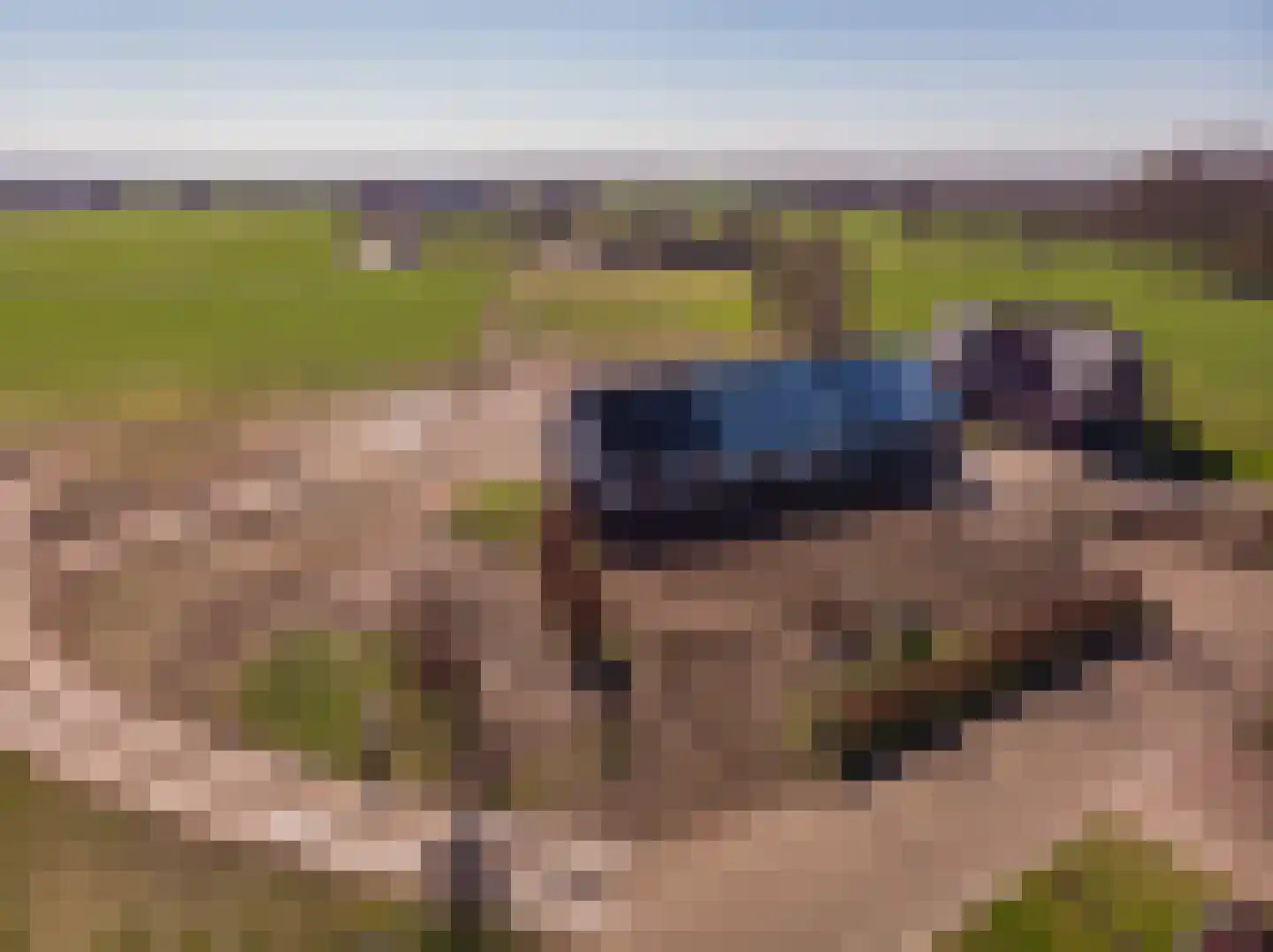 Oude Harderwijkerweg 34 Doornspijk thumbnail 56