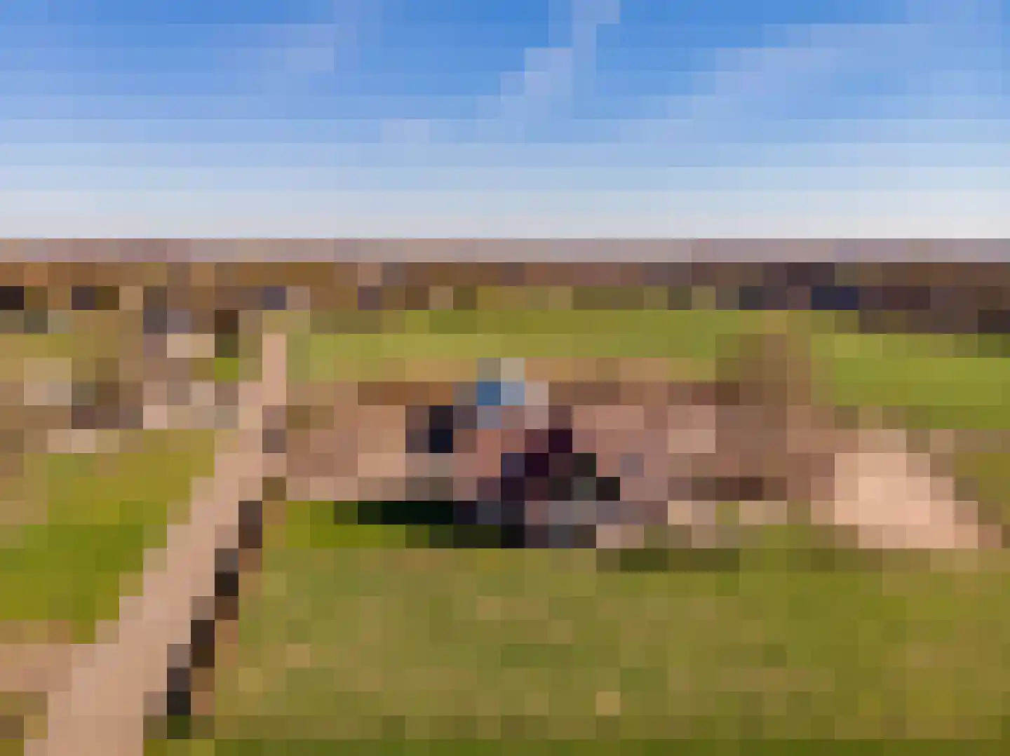 Oude Harderwijkerweg 34 Doornspijk thumbnail 59