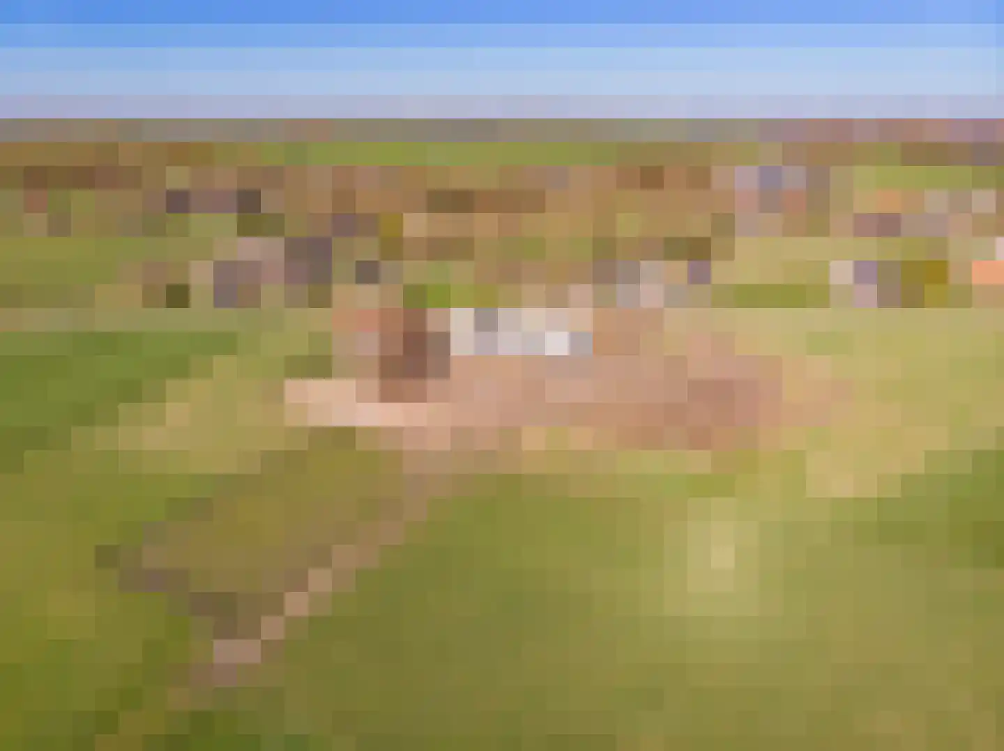 Oude Harderwijkerweg 34 Doornspijk thumbnail 60