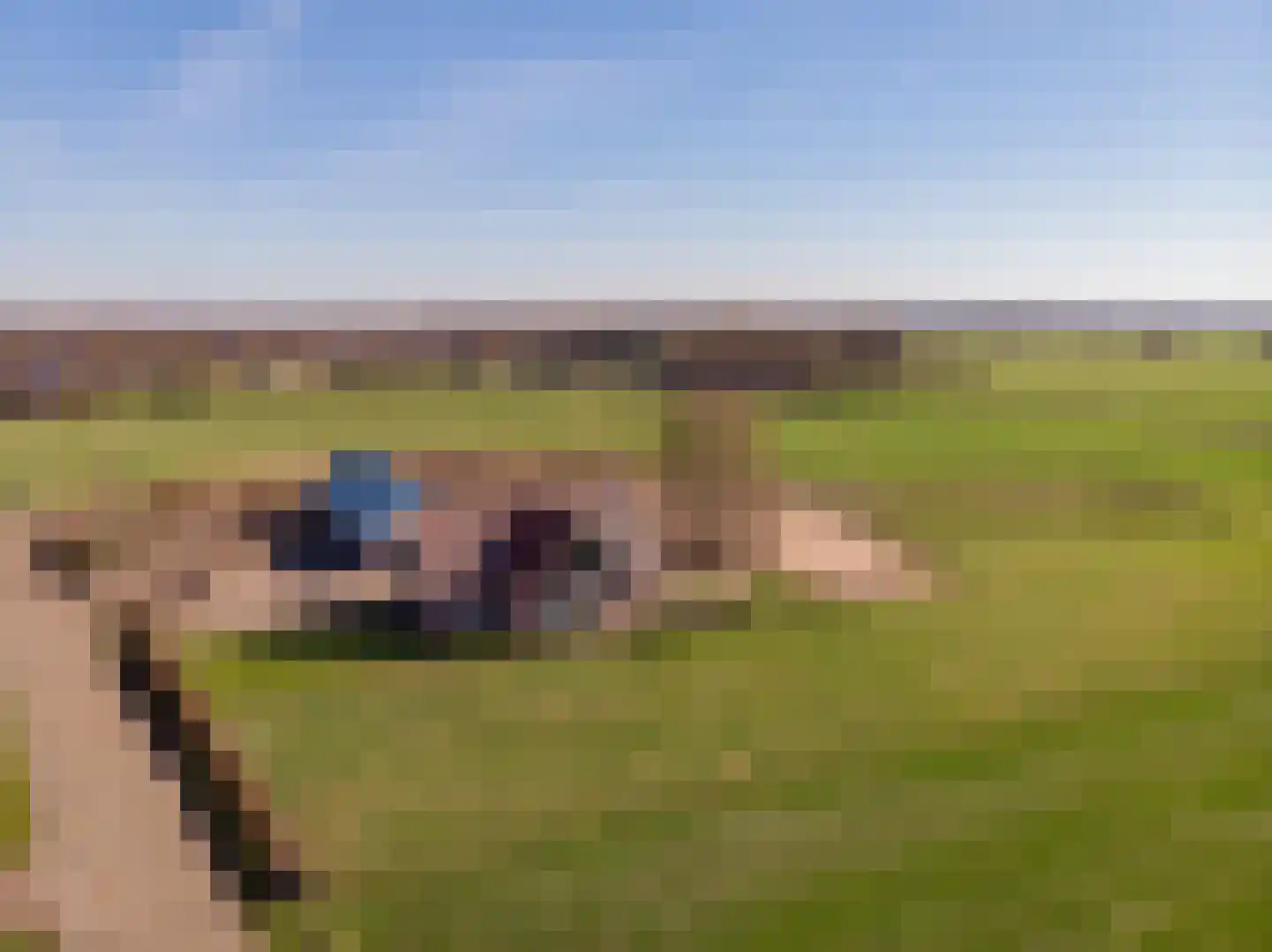 Oude Harderwijkerweg 34 Doornspijk thumbnail 61