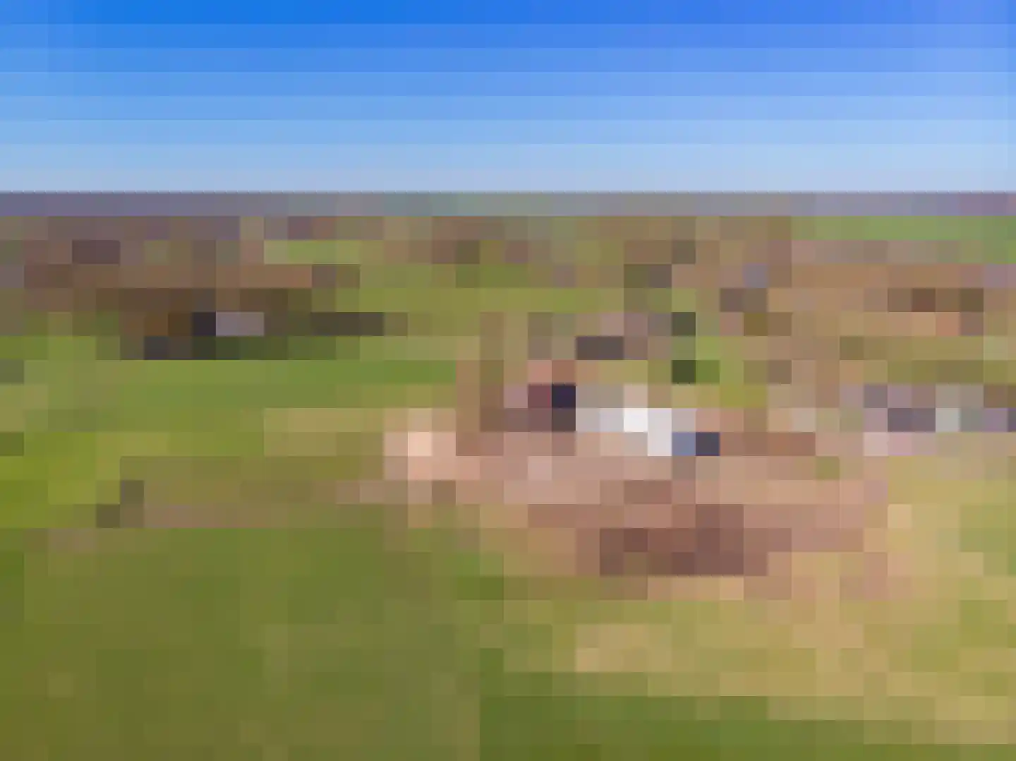 Oude Harderwijkerweg 34 Doornspijk thumbnail 62
