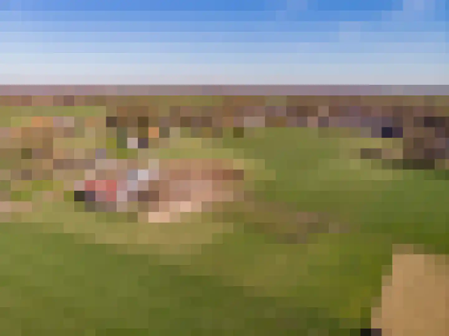 Oude Harderwijkerweg 34 Doornspijk thumbnail 63