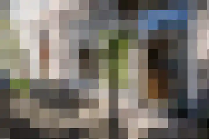 Oude Haven 104 Nijmegen thumbnail 36