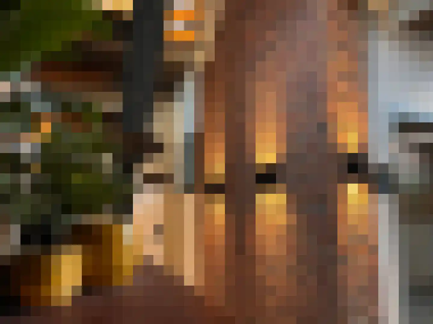 Oude Haven 11 Zierikzee thumbnail 17
