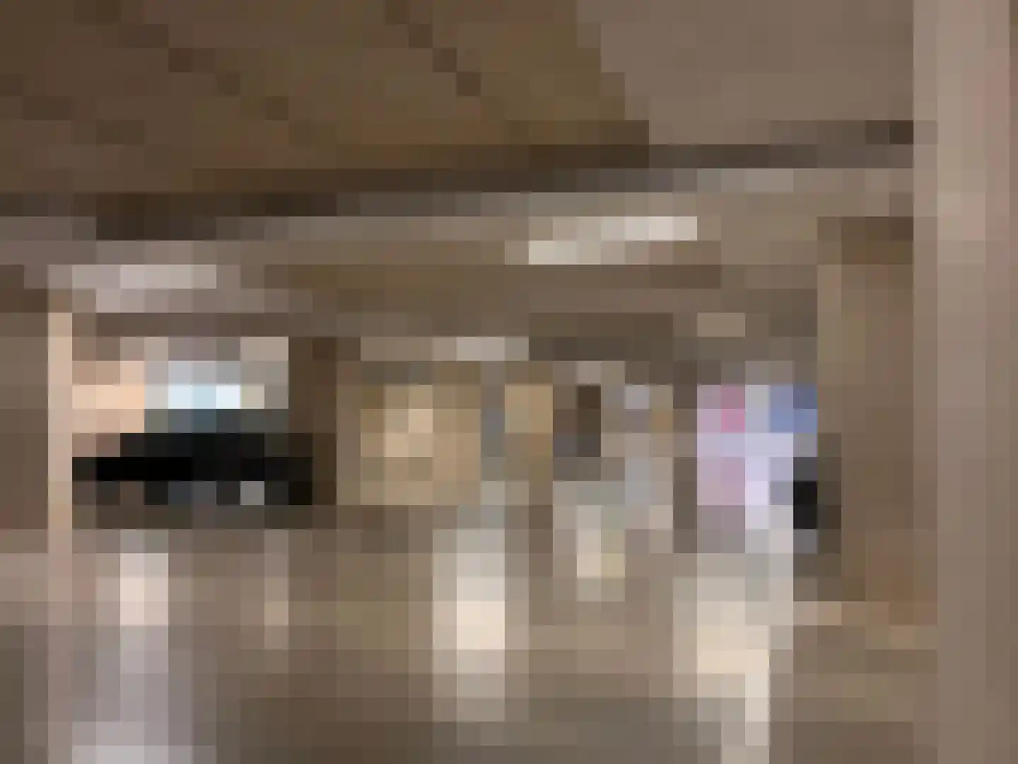 Oude Haven 11 Zierikzee thumbnail 18