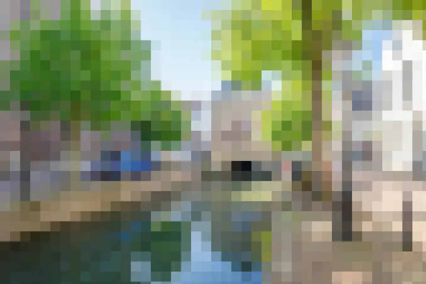 Oude Haven 12 Schoonhoven thumbnail 39