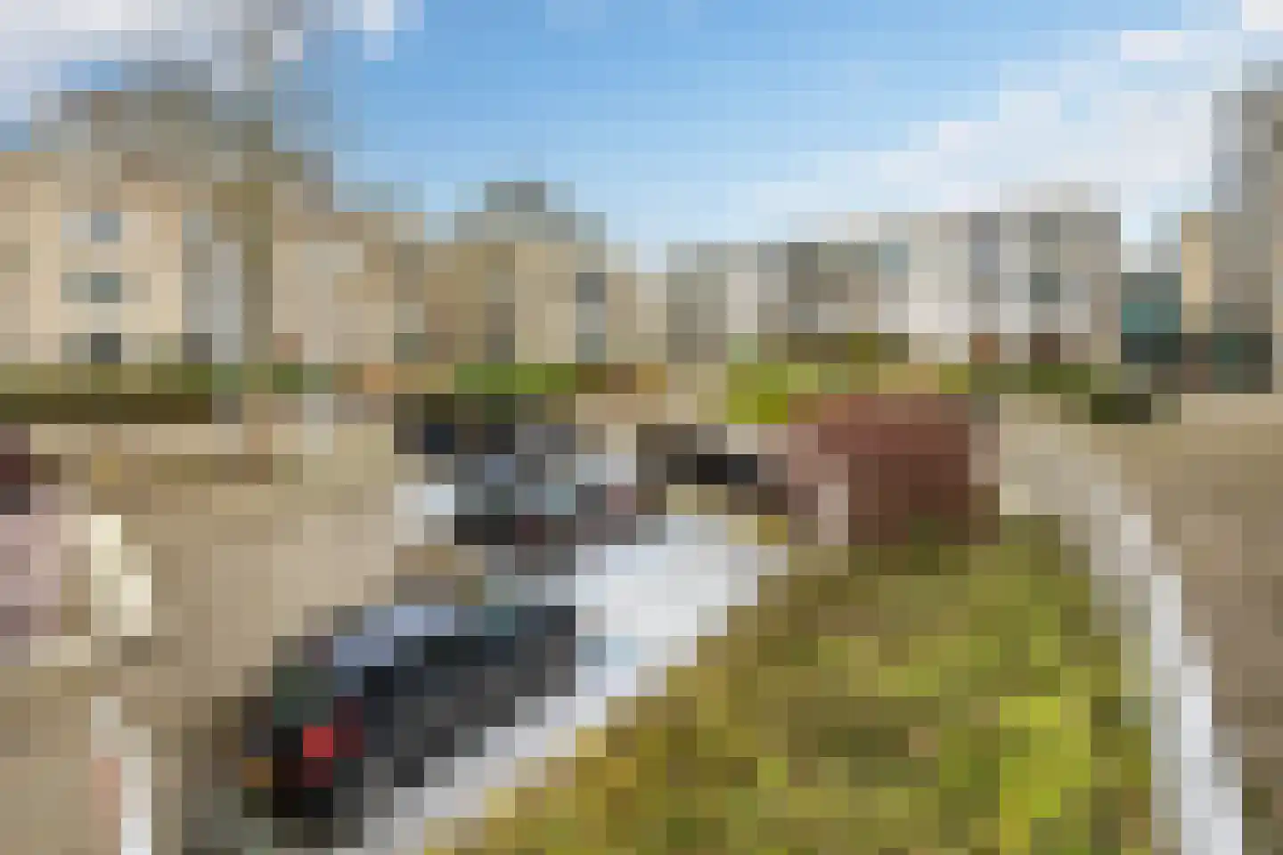 Oude Haven 13 Voorburg thumbnail 26