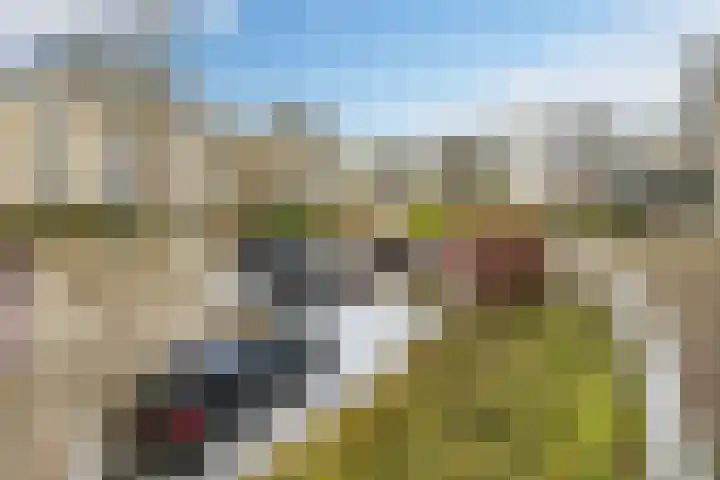 Oude Haven 13 Voorburg thumbnail 26