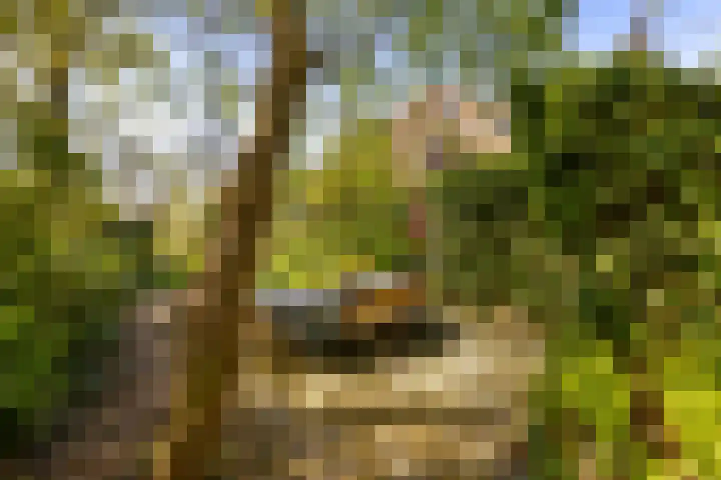 Oude Haven 14 Niezijl thumbnail 4