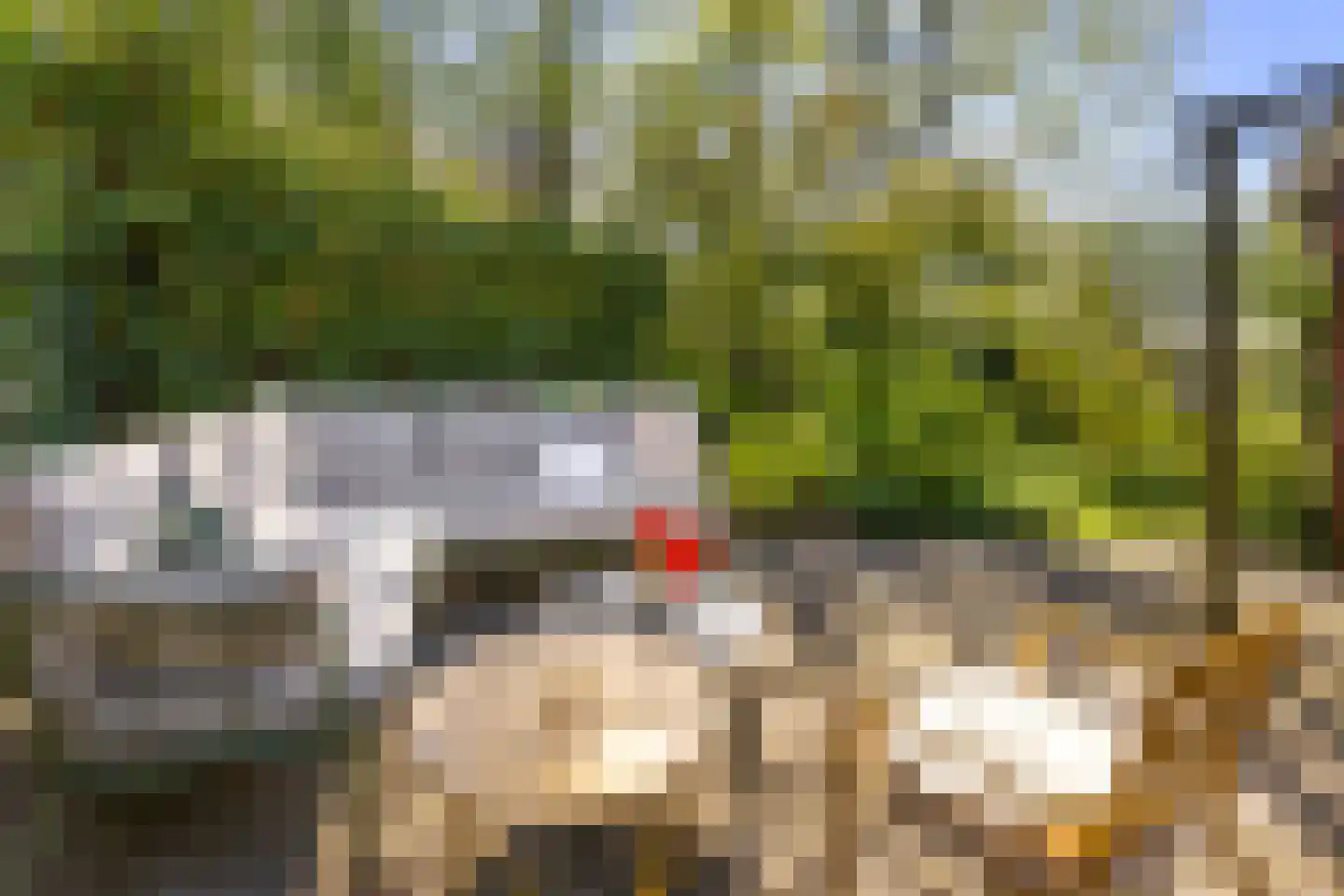 Oude Haven 14 Niezijl thumbnail 58