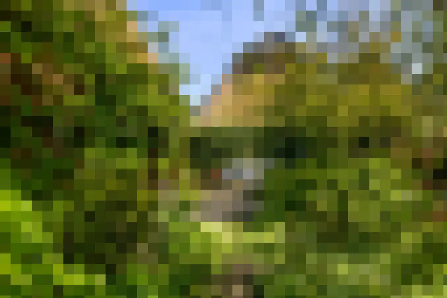 Oude Haven 14 Niezijl thumbnail 60