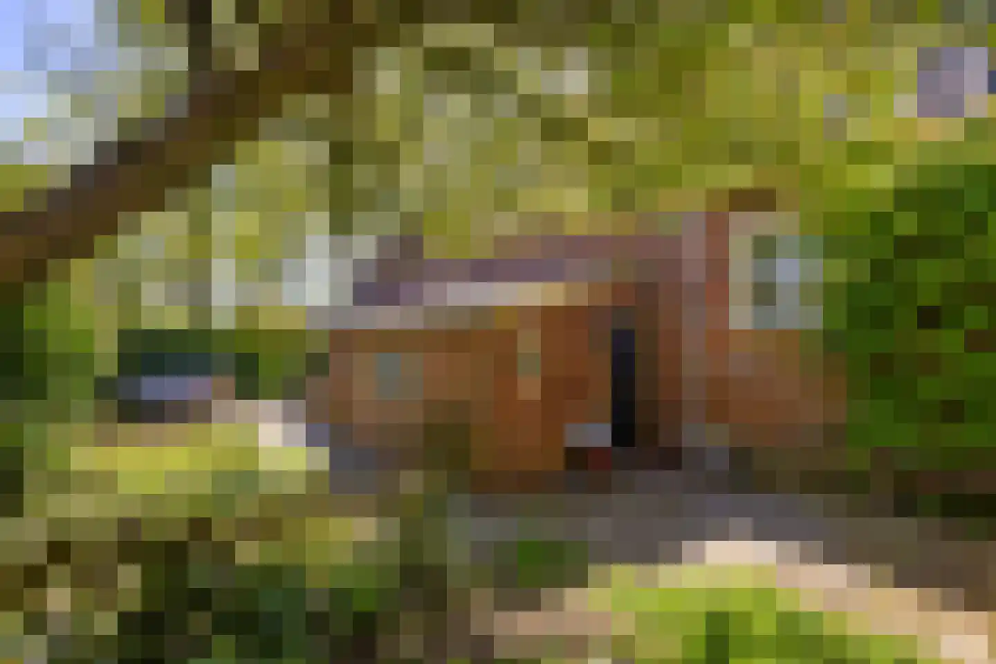 Oude Haven 14 Niezijl thumbnail 61