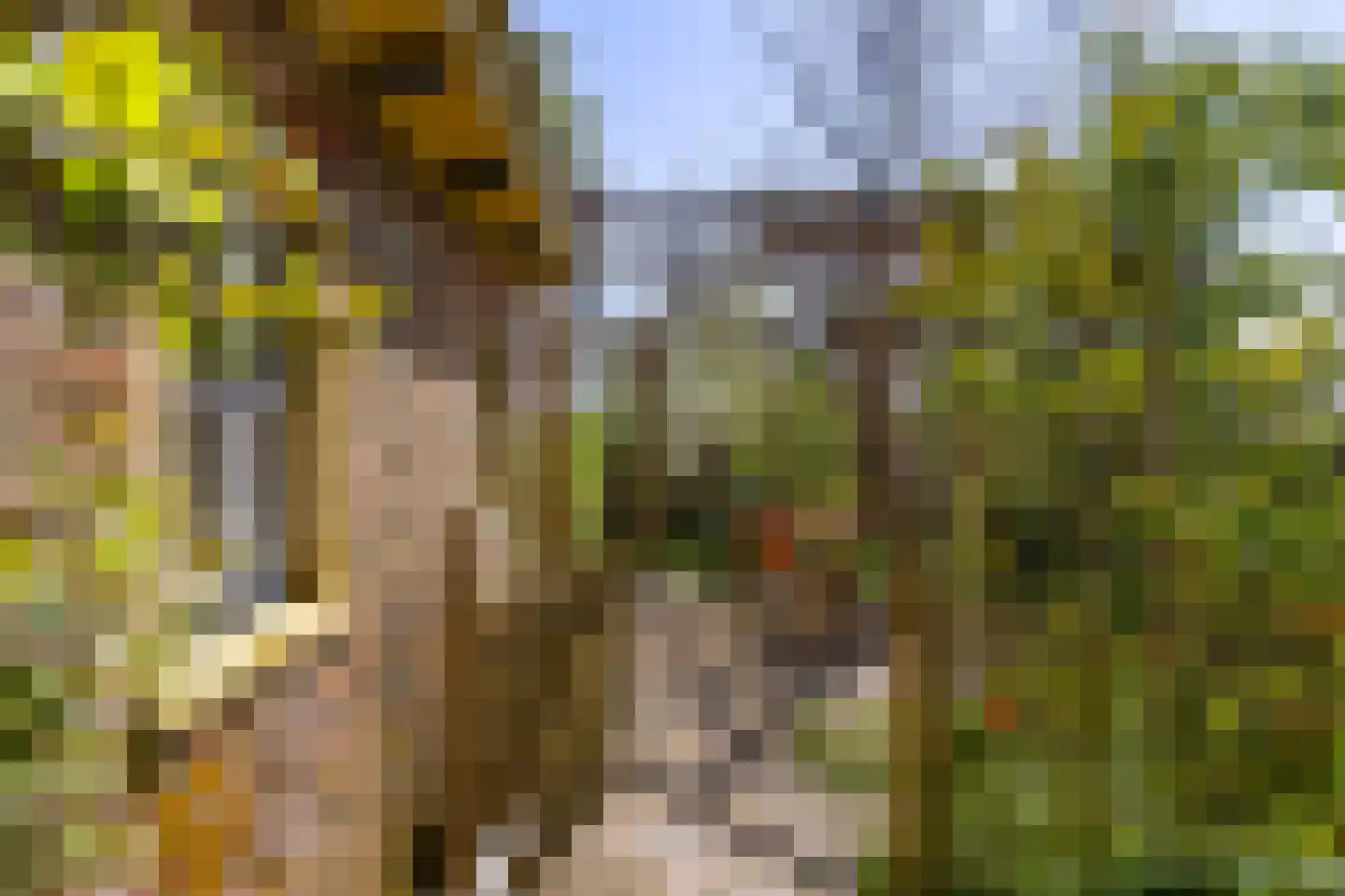 Oude Haven 14 Niezijl thumbnail 63