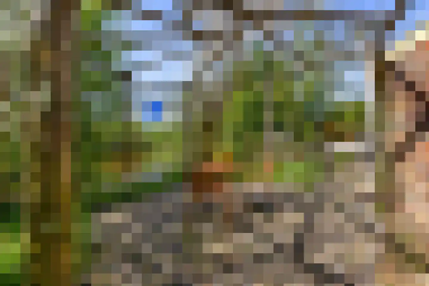 Oude Haven 14 Niezijl thumbnail 64