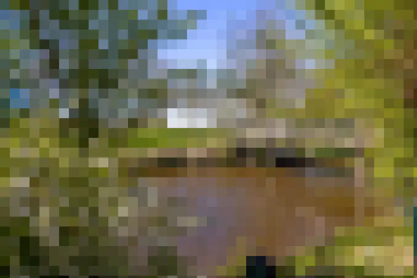 Oude Haven 14 Niezijl thumbnail 65