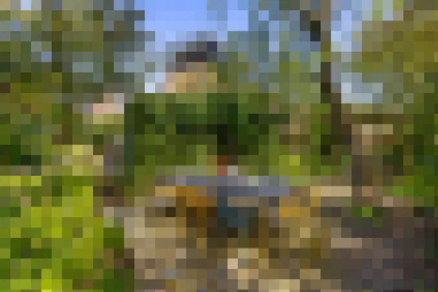 Oude Haven 14 Niezijl thumbnail 66