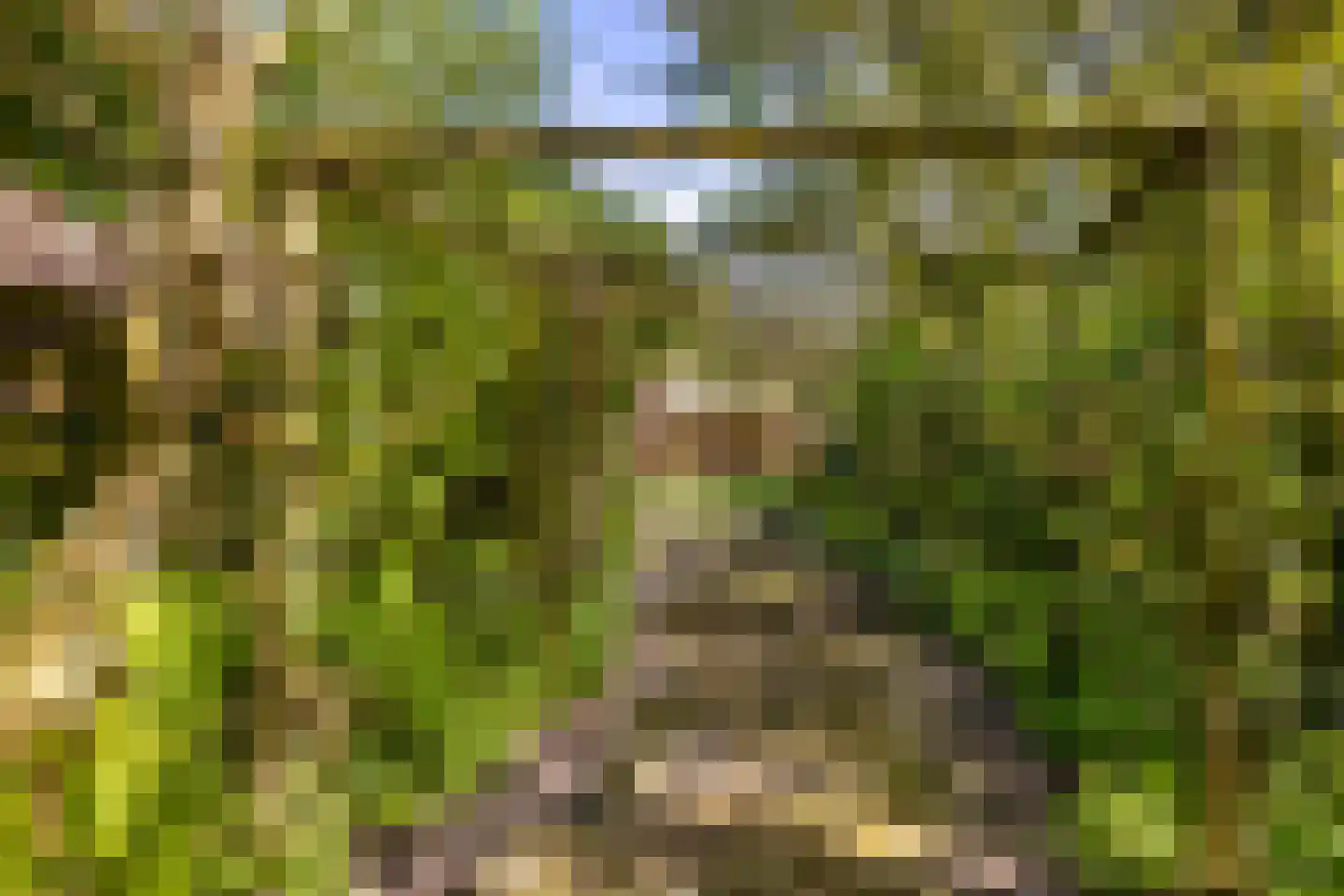 Oude Haven 14 Niezijl thumbnail 68