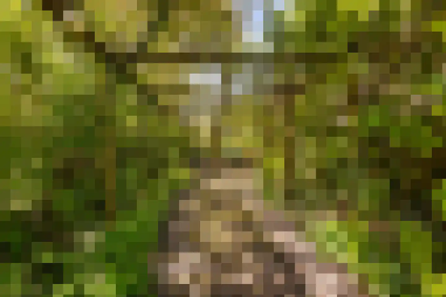 Oude Haven 14 Niezijl thumbnail 69