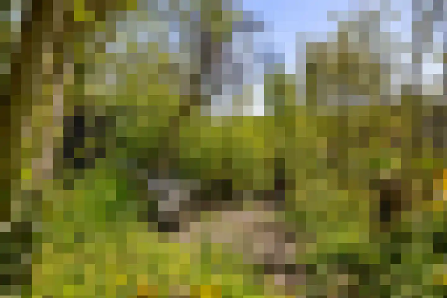 Oude Haven 14 Niezijl thumbnail 70