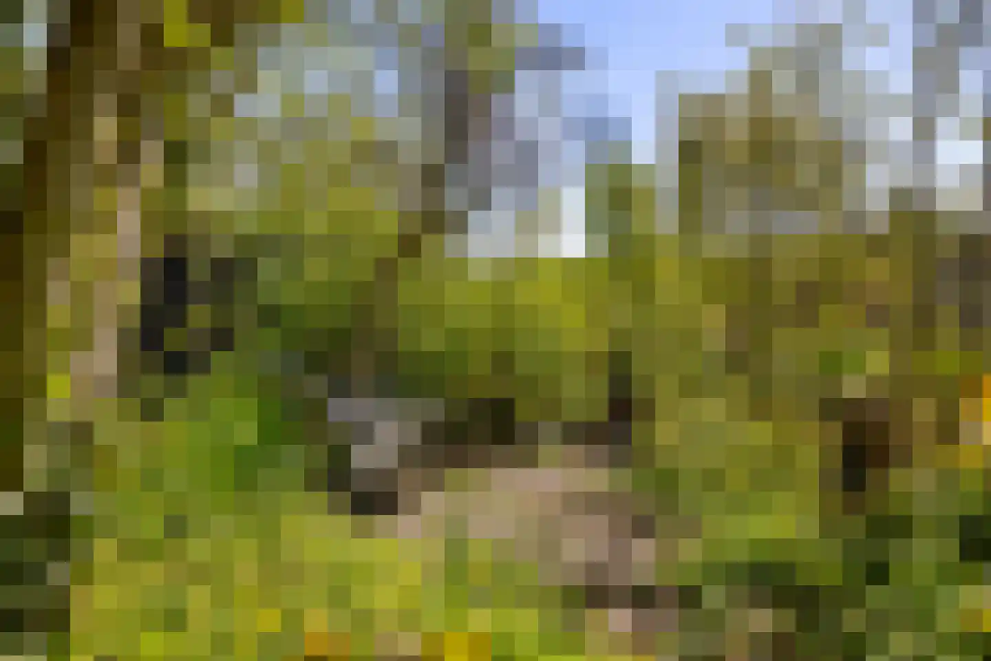 Oude Haven 14 Niezijl thumbnail 70
